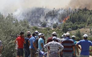 Zastrašujući prizori požara u Antaliji: Pogledajte nove snimke